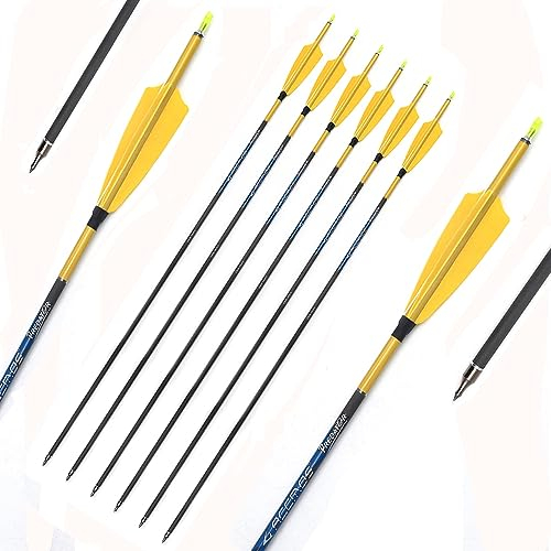 ACCMOS 6 Stück Jagdpfeile Spine 250 300 350 400 500 600 700 800 ID 6,2mm mit Gelb Schrumpfschlauch Aufklebern, für Recurve Bogen Compound Bogen Bogensport (Spine 350, 28inch)