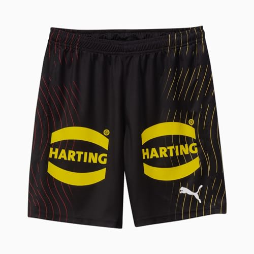 PUMA DHB Handballshorts Herren