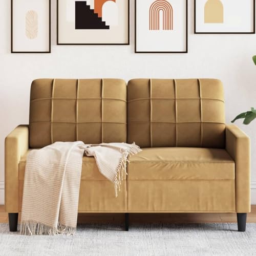 Emmtore Sofa 2-Sitzer, Polstersofa Doppelsofa für Wohnzimmer, Couch Loungesofa Metallgestell, Zweisitzer Samtsofa Sitzmöbel, Modern,Samt, Braun,120 cm