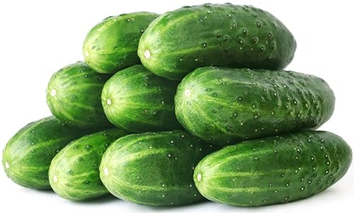 50 Straight Eight Cucumber Seeds - Heirloom Non-GMO USA Grown Vegetable Seeds for Planting - Pickling and Slicing Cucumber