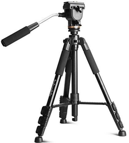 Qzsd Q111S video DSLR fotocamera digitale treppiede portatile fotografia professionale treppiede per viaggiare