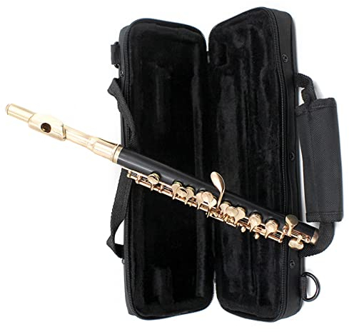 TSTS Goldene Flöte In Halber Größe, Cupronickel, Vergoldeter C-Tastenton Mit Poliertuch-Reinigungsstift-Set-Etui Einsteiger Querflöten