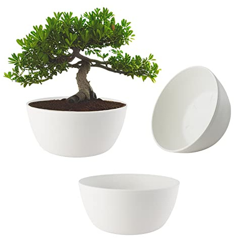 ECOMACETAS FLOWERPOT STORE Maceta Bonsai, Macetas para Bonsais, Cactus, Suculentas, Crasas Redonda Baja de Plástico Blanca (3, 20 cm)