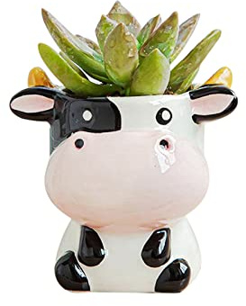 DIYOMR Vaso per piante a forma di fumetto in ceramica per mini piante, cactus, in ceramica liscia e lucida, piante non incluse (mucca)