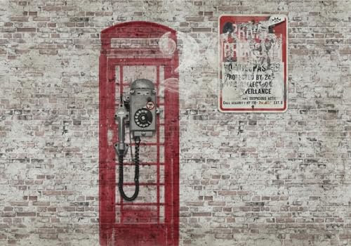 Fototapete Blumen 3D Tapeten 3D Effekt Wohnzimmer Schlafzimmer Vliestapete Vintage Rote Backsteinmauer Telefonzelle Kulisse Natur Grau Graffiti Steinoptik Kinder Tapeten