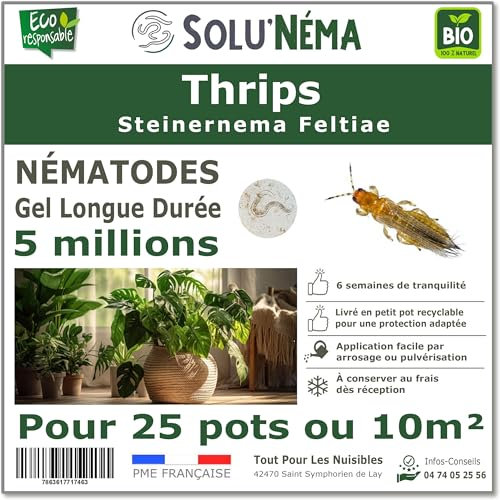 TOUT POUR LES NUISIBLES SOLUNEMA - Nématodes Contre les Thrips 5 Millions Longue Durée