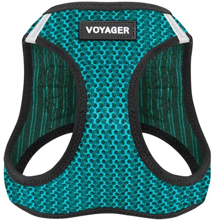 Voyager Step-in Air hundsele – alla vädernät kliv i västsele för små och medelstora hundar av Best Pet Supplies – turkos (2 ton), S