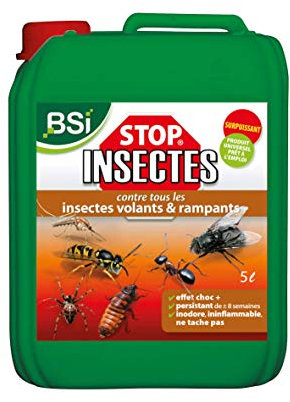 BSI - Stop Insectes - Volants Ou Rampants - 5l - Efficace A l'Intérieur Et Extérieur - Effet Immédiat - Longue Durée, vert, Translucide