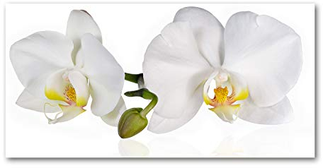 Tulup Glas-Bild Wandbild aus Glas - Wandkunst - Wandbild hinter gehärtetem Sicherheitsglas - Dekorative Wand für Küche & Wohnzimmer 120x60 - Blumen & Pflanzen - Orchidee - Weiß