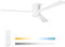 Noaton Ventilatore da Soffitto con Luce e Telecomando, LED Dimmerabile 22,9 W, 3 Temperature di Colore, 3 Pale Bianco, Timer, con Motore DC 34 W, 6 Velocità, Ø132 cm, Silenzioso