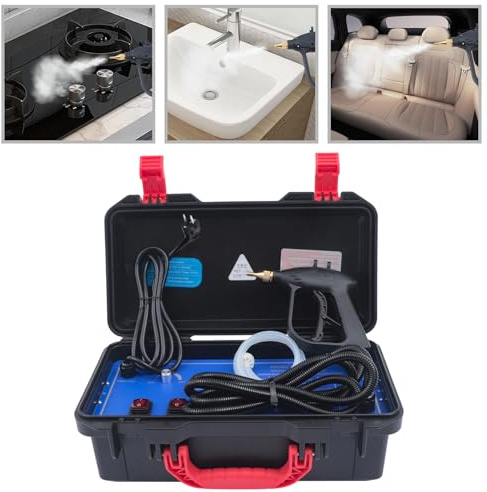 Pulitore a vapore ad alta pressione per auto, 3 kW, per cucina, bagno, pulizia a vapore, due pulitori