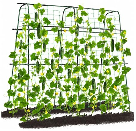 yotoworth Garden Trellis for Climbing Plants,160×160cm Cucumber Trellis for Raised Bed, Outdoor Metal,Vegetables Trellis,Support for Tomatoes, Peas, Vegetables, Vines