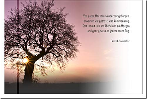 metALUm Trauerkarte B6 Doppelkarte Klappkarte ohne Innentext mit weißem Umschlag – Motiv Baum im Sonnenuntergang – Zitat Dietrich Bonhoeffer