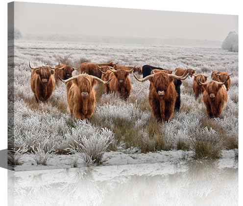 Wall Art Brown Highland Cow Herd Painting Animals Pictures Print On Canvas Cattle with Big Horns The Picture Decor Oil for Home Modern Decoration for Living Room 12x18inch (30x45cm)