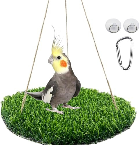 Niwugady Vogelschaukel Sitzstange, Vogelgrasschaukelmatte Papageienkäfig Hängematte mit verstellbarem Seil, Haken und Grasmatte Vogelfutterspielzeug für Nymphensittiche, Wellensittiche, Rund