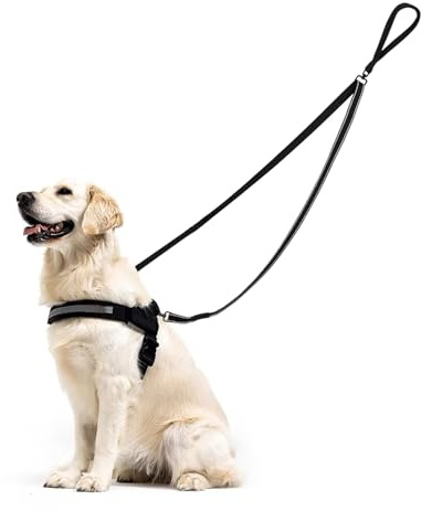 Double Ended Lead for Dogs, No Tangle Training Leash, Soft Padded Reflective Dog Training Leads with No Pull Harnesses for Medium Large Dogs