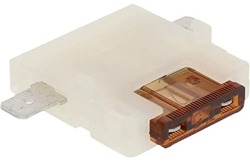 Cartrend 10471 - Portafusibili a spina piatta, 12 Volt