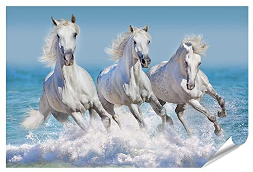 islandburner XXL Bild Poster Pferde Wasser Weißes Pferd Herde Kinderzimmer Reiten Premium Bilder Fotodruck