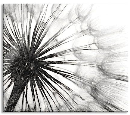 Schöne Pusteblume Herdabdeckplatte & Spritzschutz aus Echtglas | Für Herd-Kochfelder | 60x52 cm