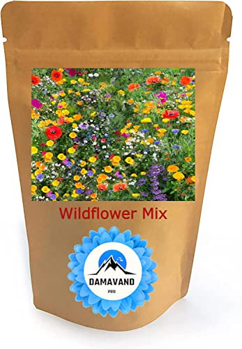 Wildflower Seeds More Than 21 Pure Seeds Scented NO Gras Lawn Bee Butterfly Mix Meadow Cottage Garden UK Seed (25g)