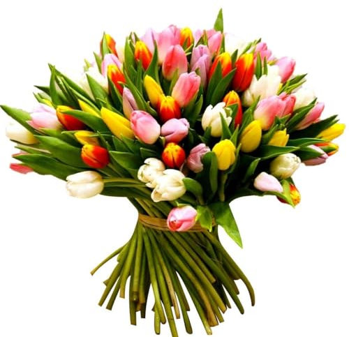 Bouquet de Tulipanes Frescos RAMO ESPECIAL con 50 Flores para Sorprender en Cualquier Evento