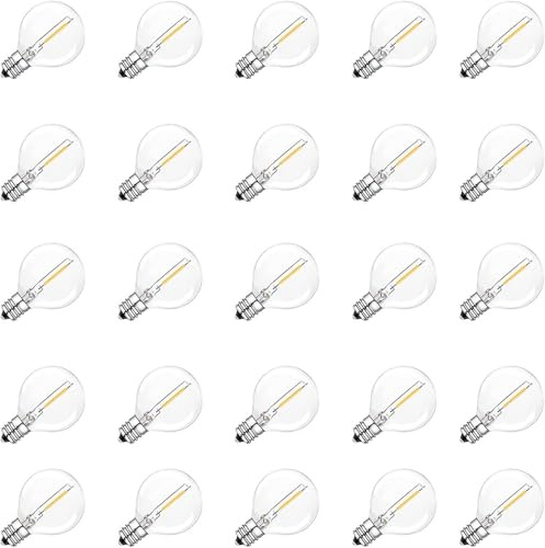 Aiwerttes Lot de 25 Ampoules en Verre E12 G40 LED 1W,Equivalent à Ampoule Incandescente 10W,Blanc Chaud 2700K,100LM,Non Dimmabile,Ampoules Globe G40,pour Decorative Guirlande