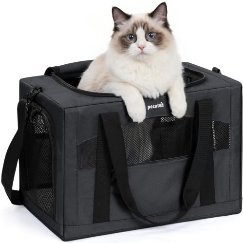 pecute Katzentransportbox Faltbar, Tasche für Katzen & kleine Hunde,XL | Stabiler Stahlrahmen, weiche Transporttasche bis 5kg, ideal für Auto & Reisen, leicht, faltbar, sicher