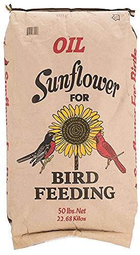 Black Oil Sunflower Bird Seed