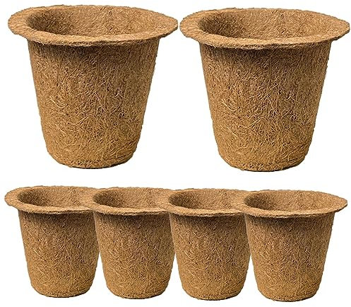 Toddmomy 6stücke Teiliges Biologisch Abbaubarer Kokosnuss-blumentöpfe Für Pflanzen Miniatur-pflanzgefäße Für Balkon Und Garten Für Sukkulenten Und Kleine Pflanzen