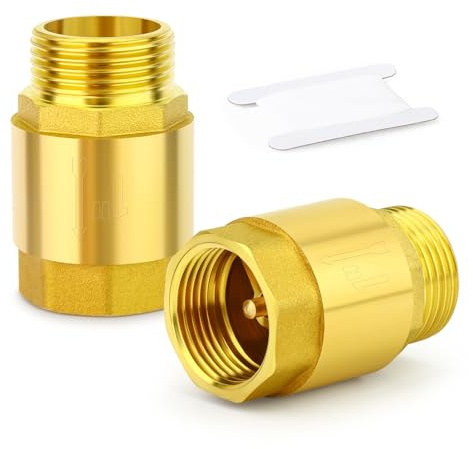 TAILONZ PNEUMATIC 2PCS Messing Rückschlagventil DN25 1 Innen- und Außengewinde, Rückflussverhinderung, Rückschlagventile
