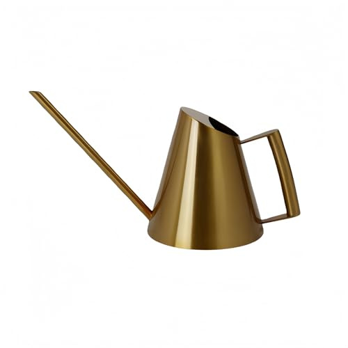 Chesoon Mini regadera cónica de cobre vintage, maceta de agua de acero inoxidable de alta calidad para interiores y jardinería