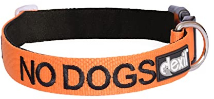 Inga hundar (Inte bra med andra hundar) Orange färgkodade S-M L-XL hundhalsband förhindrar olyckor genom att varna andra om din hund i förväg (L-XL)