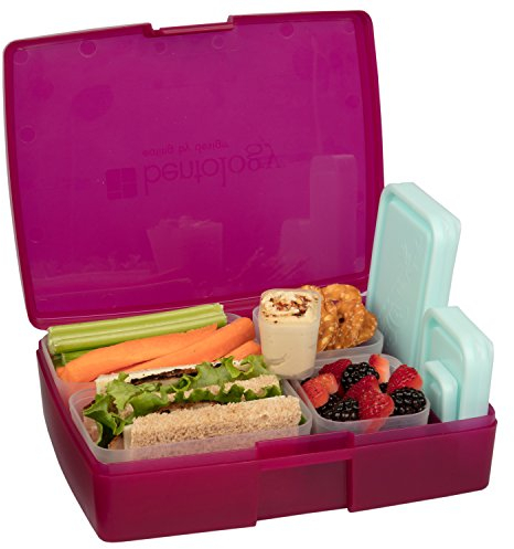 Lunch Box Raspberry Bento Box mit 5 Blauen Behältern