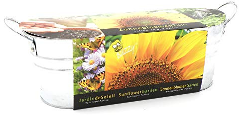 Saatset Anzuchtsset Zinkwanne Sonnenblumen Landhausstil Sommerblumen Korbblütler