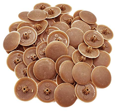 Snap-On Bifix Cover Caps to Use with Phillips Ph2 & Pozidrive Pz2 Pozi Screws - Pack of 50 Biffix Covers : Driftwood Wood