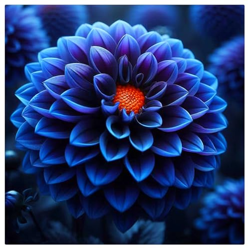 Dahlia Bulbs UK,Potted-Plants-Rhizome,Dahlia Plants for Garden,Excellent Display-4bulbs-I