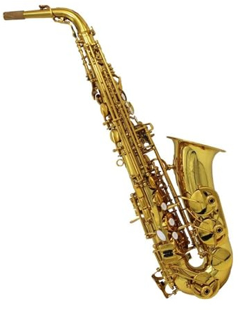 Professionelles Instrument Altsaxophon geeignet für Anfänger Saxophon für Anfänger