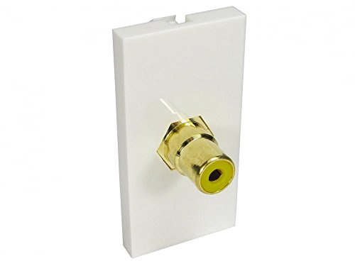 rhinocables Faceplate Frame (Single RCA) | Home Improvement