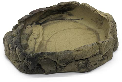 ZooPaul Terrarium Reptilien Schale beige XL ca. 27x22x5 cm (L/B/H) Trink Wasserschale Wassernapf Futterbar