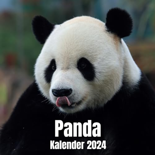 Panda Kalender 2024: 14-Monats-Planer, November 2023 bis Dezember 2024, für Zuhause und Büro für Tierliebhaber