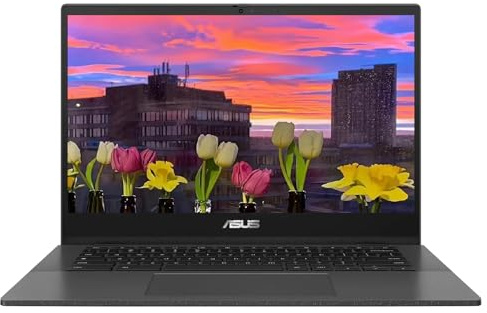 ASUS Laptop Chromebook CM1402, pantalla LED FHD de 14 pulgadas (1920 x 1080), MediaTek Kompanio 520, 8 núcleos, 4 GB de RAM, 64 GB eMMC, Chrome OS, Gravity Gray, tarjeta micro SD TWE de 64 GB