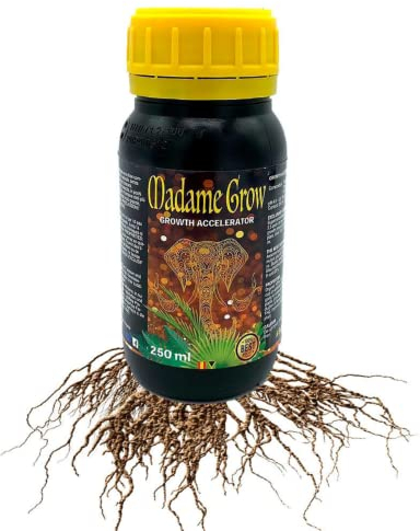MADAME GROW dünger pflanzen - dünger pflanzen - dünger pflanzen grün - dünger pflanzen grün - substrat pflanzen grün - dünger für pflanzen - universal dünger - blattdünger(GROWTH ACCELERATOR 250ml)