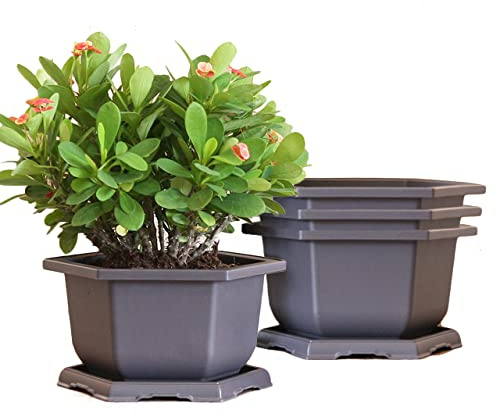 MissFox Bonsai Topf 4 Stücke Kunststoff Blumentopf mit Untersetzer Sechseckiges Bonsai Trainingstöpfe Kit für Garten Wohnzimmer Büro (15x9cm)