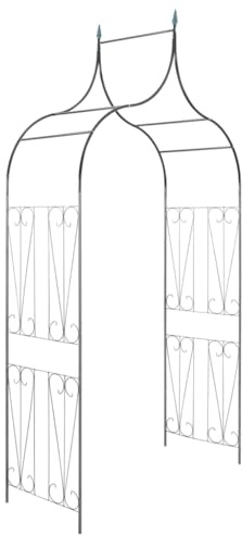 Piante rampicanti da giardino ad arco con spuntoni, verde scuro