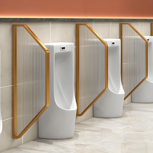 Paravento per orinatoio a parete, in vetro e acciaio inox, per bagni pubblici