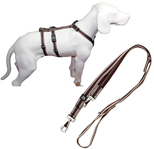 Feltmann NoExit Hundegeschirr® - ausbruchssicher, Panikgeschirr, braun Muster, Bauchumfang 60-80 cm, 25 mm Bandbreite, mit passender Führleine 210 cm, 3-Fach verstellbar