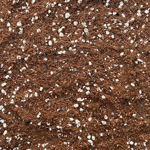 Coco Perlite Mix 70/30 with activated biochar - Enhanced Potting Soil Mix for Optimal Plant Growth and Health (20L)
