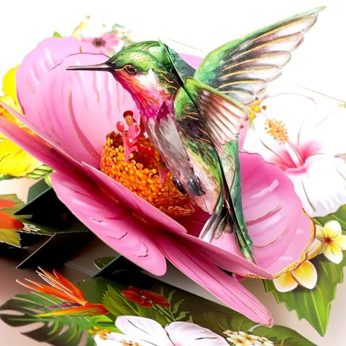 YianHien 3D Geburtstagskarte Frau Kolibri, Pop Up Karte Geburtstag Blumen, Kolibri Karte Geburtstag Geschenke für Frauen zum Danke Jahrestag Lehrertag Ruhestand Gute Besserung Glückwunsch