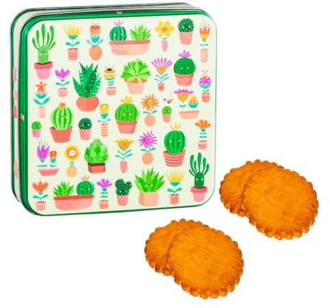 DV France | Lattina Metallo Biscotti Puro Burro Fior di Sale - 130 Gr | Biscotti Burro Salato Galettes Latta Fiori Cactus a Rilievo
