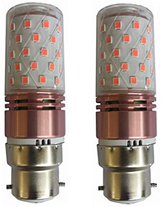 1 0W B22 Baionetta PORTATO Lampadina bulbi di mais pannocchia di mais 12V 24V a bassa tensione 2835 SMD 60 LED AC/DC 12-4 0V for RV Camper Marine, Solar Energy Light e Grid 2 Pack (Color : RED)